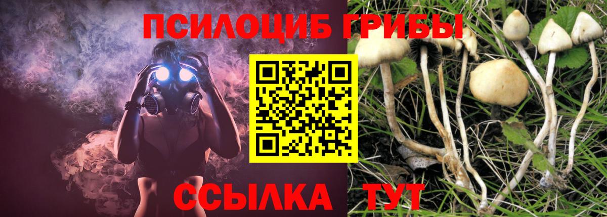 Псилоцибиновые грибы ЛСД Нововоронеж